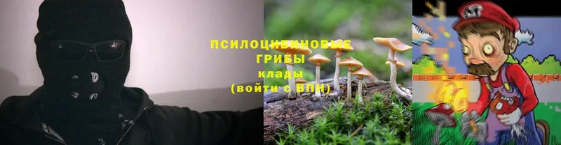 наркотики  blacksprut ТОР  Псилоцибиновые грибы Psilocybine cubensis  Белоярский 